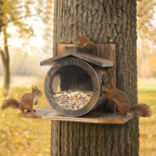 Eichhörnchen Futterhaus, Eichhörnchen Futterstation aus Holz, Wetterfestes Dach, Kobel Eichhörnchen mit Runden Transparentes Fenster, für Montage Bäumen Zäunen im Freien