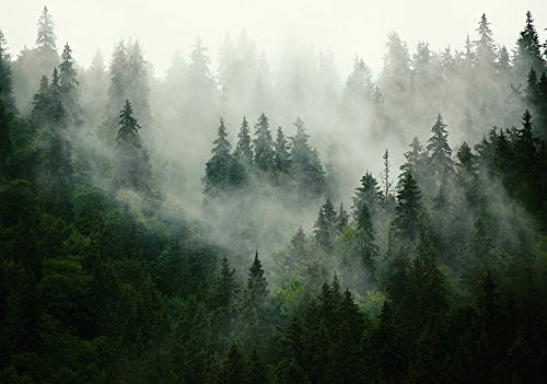 WallArena Vlies Fototapete, Wald, 416x290cm