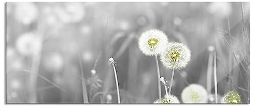 Pixxprint Glasbild Panorama, Wandbild aus Echtglas, wunderschöne Pusteblumen, 120x50 cm, inkl. Aufhängung und Abstandshalter