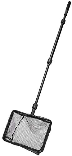 Popepepop, rete da pesca estensibile in plastica, con manico telescopico, per laghetti e laghetti (misura L)