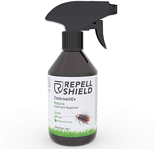 RepellShield® Spray Scarafaggi e Blatte per Interni e Esterni - 250ml - Repellente Scarafaggi e Blatte Protezione Duratura Contro Tutti i Tipi di Scarafaggi - Comoda Alternativa a Trappole per Blatte