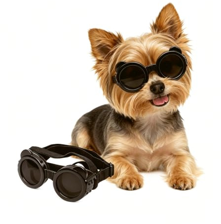 NAMSAN Gafas protectoras para perros pequeños con protección UV para actividades al aire libre como ciclismo y conducción, antivaho y resistentes al viento, ajustables, color negro panda