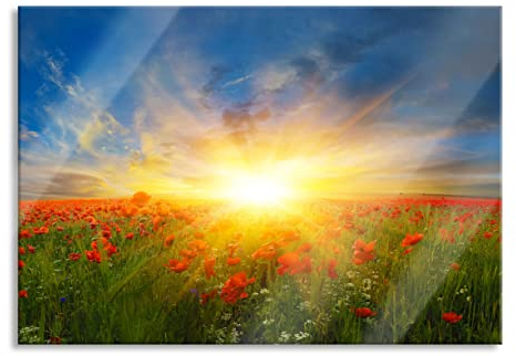 Pixxprint Glasbild, Wandbild aus Echtglas, Mohnwiese in der Sonne, 100x70 cm, inkl. Aufhängung und Abstandshalter