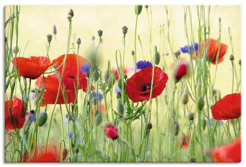 ARTLAND Wanddeko Leinwand Bilder Wandbild 60x40 cm Pflanzen Blumen Mohn Mohnblumen Kornblumen Blumenwiese Sommer U4YP