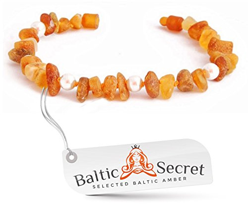Bernsteinkette Hund | Bernsteinhalsband für Hunde & Katzen | Hundehalsband I Natürliches Halsband Hund aus echt Bernstein mit Perlen