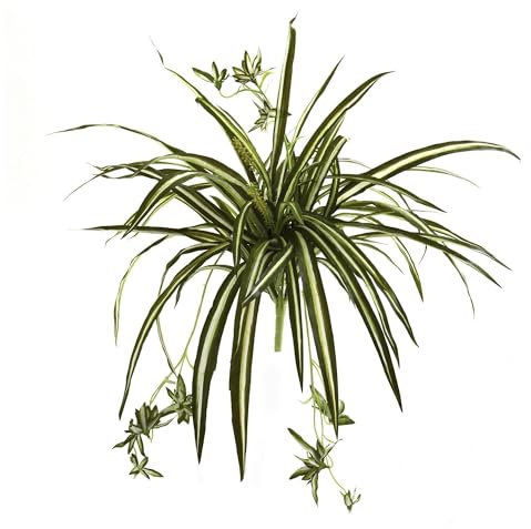 Nearly Natural 23in. Spider Plant Bush (Set of 4)