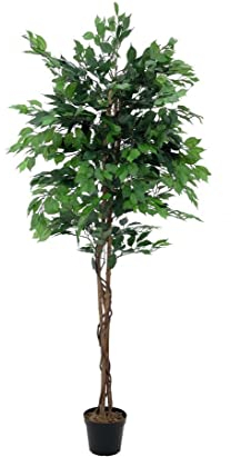 Kunst Baum Ficus Benjamini mit Multistamm Höhe 210cm - Künstlicher Ficus sehr hochwertig verarbeitet