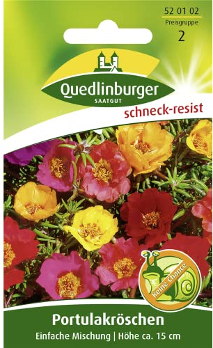 Quedlinburger Saatgut Portulakröschen, Einfachblühende Supermischung Samen