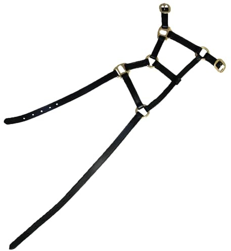 Hy Leather Foal Head Collar - Black