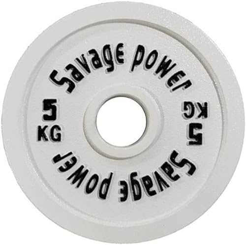 Hantelscheiben Bumper Plate 2 Stück Hantelscheiben aus Gussstahl für Zuhause, Farbe, Farbe, Langhantel, Arm, Muskeltraining, Hantelscheiben für Männer und Frauen rutschfest