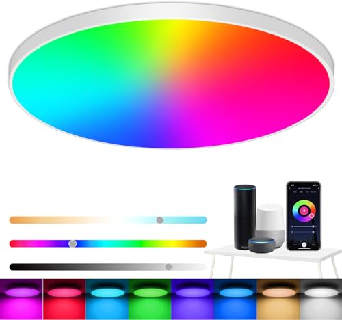 Eregou LED Deckenlampe Dimmbar, 24W 2400LM Smart RGB LED Deckenleuchte, IP44 Wohnzimmerlampe Schlafzimmerlampe, Kompatibel mit Alexa APP Google Assistant, 2700K-6500K