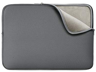 RAINYEAR Housse pour Ordinateur Portable 15,6 Pouces Doublure Douce et Moelleuse Couverture zippée Sac de Transport rembourré Compatible avec 15,6 Pouces Notebook Ultrabook Chromebook(Gris)