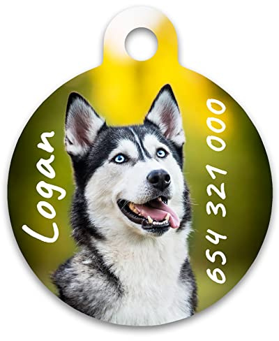 Chapa Perro Gato Personalizada con Foto y Texto Placa Identificativa