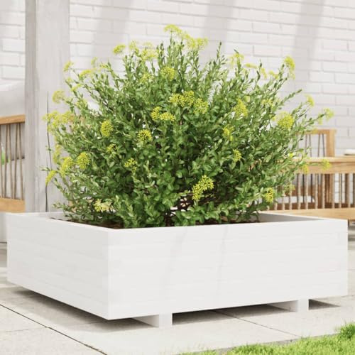 LAPOOH Pflanzkübel Weiß 80x80x26,5 cm Massivholz Kiefer, Blumentopf Gross, Blumenkasten Balkon, übertopf, Pflanzkasten, Flowerpot, Kräuterbeet Für Die Küche, Vertikalbeet - 847309
