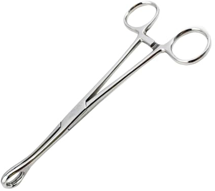 FRCOLOR Schwammzange Selbstsichernd Für Piercingwerkzeug Runde Geschlossene Pinzette Aus Rostfreiem Stahl Mit Gezackter Spitze Zum Greifen Und Halten Bei Wangen Und Intimpiercing