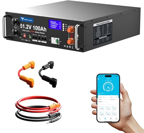 Batteria al litio LiFePO4 48 V 100 Ah Bluetooth con BMS 100 A, 5,12 kWh, compatibile con gli inverter, per sistema solare, camper, kit completo.