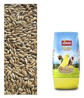 Jarad - Aliments pour Oiseaux Alpiste Extra