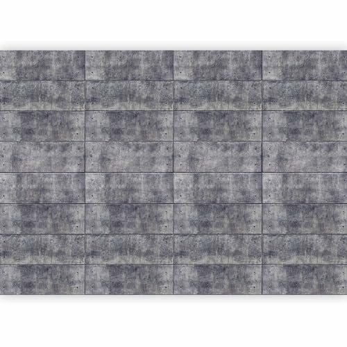 murando - Carta da Parati Adesiva Muro per Soggiorno, 3D, 245x175 cm
