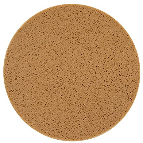 Power Sponge Float Replacement Sponge Discs- Sponge Float 16'' Sponge & Float Disc,Refina disc- Refina Power Float for Smoothing, Scraping and Floating of Plaster (Brown)