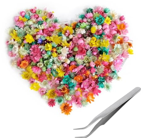 281 Pezzi Fiori Secchi Decorativi per Resina, Candele Profumate, Sapone Fai Da Te, Nail Art, Custodia per Telefono, Gioielli, Orecchini