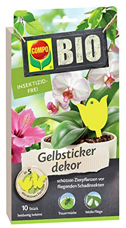 Compo Gelbsticker dekor 10 Stück