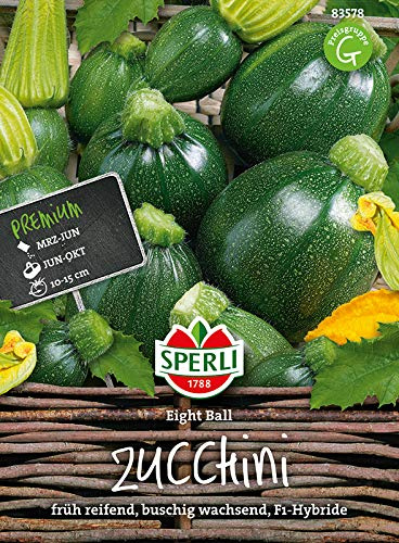 Zucchini, Eight Ball F1