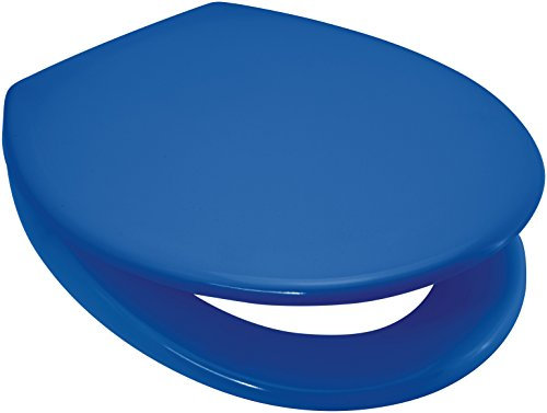 Euroshowers Rainbow Soft Close Toilet Seat (blue)