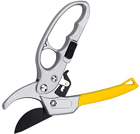 Julyee Forbici Cesoie, Cesoie Potatura Forbici da Giardino Cesoie con cricchetto a Incudine per potatur, Tagliare Verde Fresco, Viti, arbusti, Piante, Fiori, Rose