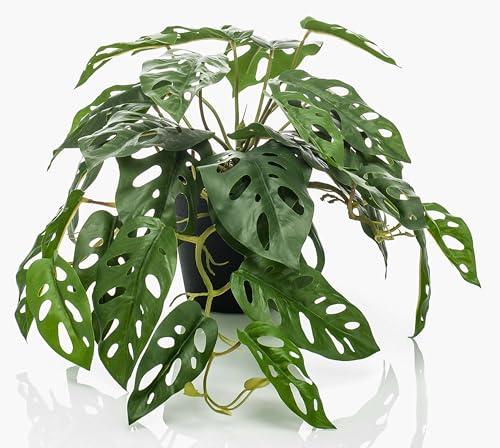 artplants.de Filodendro Decorativo Monstera Deliciosa Trevyn, 55cm