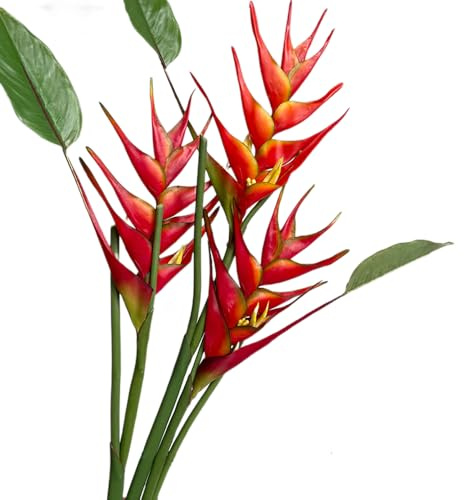 Héliconia Lot de 3 fleurs artificielles en forme d'oiseau de paradis, 63,5 cm de hauteur, rouge/orange, pour décoration de maison/bureau (rouge)