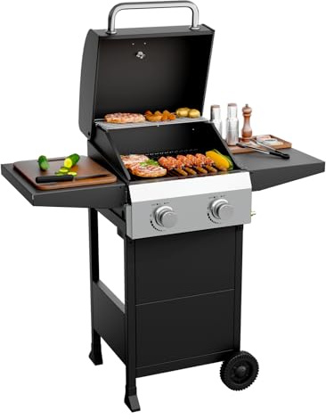 ROVSUN 2 Burner Propane Gas Grill with Foldable Side Shelves, 24000BTU BBQ Grills with Enameled Cast Iron Grates, Cabinet & Poratable Rolling Wheels for Outdoor Garden Patio Backyard Barbecue Cooking