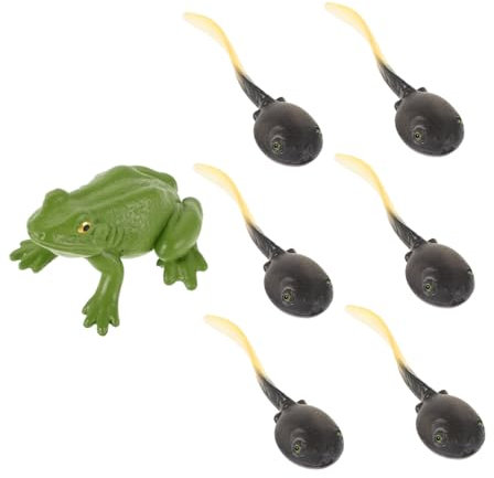 Toyvian Miniature Plastic Frog Ornaments for Decorations Realistic Frog Figures for Home Office Decor Diy Garden Accessories