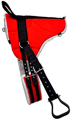 Azhan Equipride Anti-Rutsch Bareback Pad mit Gurt & Steigbügel erhältlich in 4 Farben, rot, Shetland