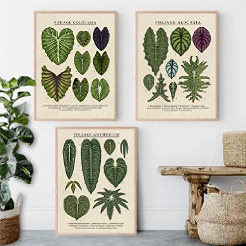 Dittelle Laub Anthurium Colocasia Alocasia Pflanzen Leinwand Gemälde Blatt Poster Wandkunst für Wohnzimmer Wohnkultur Bild 15,7 x 19,6 (40 x 50 cm) x 3 Kein Rahmen