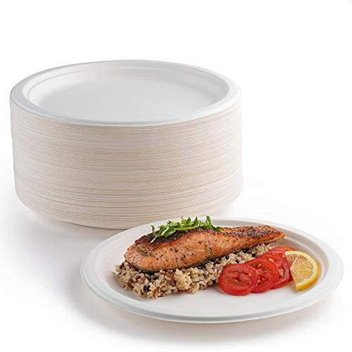 EVYIENEN Pappteller 50 Stück, 100% Biologisch Abbaubar und Kompostierbar, Umweltfreundlicher, Strapazierfähiger, Recycelbarer Essteller aus Bagasse-Faser, Perfekt für Picknicks, Grillabende (25.4cm)
