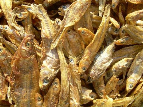 Getrocknete Fische 3-7cm 1000g, Fischfutter, Schildkrötenfutter
