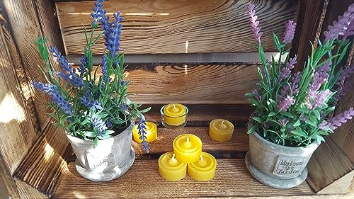 Teelichter, 100% reines Bienenwachs 50 Stück