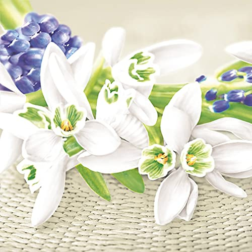 3-Ply Spring Flower Tissue Paper Napkins Serviettes for Decoupage Lunch 33cm x 33cm - Pack of 20 (Snowdrops on Wicker Background)