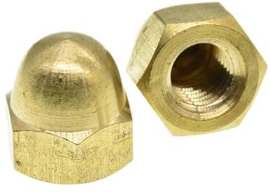 20/5/2Pcs M3 M4 M5 M6 M8 M10 M12 M14 M16 Messing Kappe Sechskantmuttern dekorative Dome Kopf Abdeckung Halbkreis Hutmutter (Size : M8-1.25(5pcs))