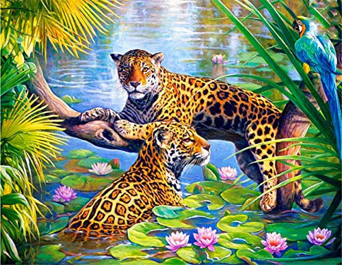 YEESAM ART DIY Ölgemälde Malen nach Zahlen Erwachsene Kinder, Zwei Leoparden im Lotus Teich Zahlenmalerei ab 5 Öl Wandkunst (Leoparden, ohne Rahmen)