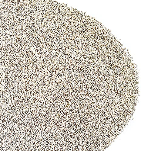 GRAMIGNA (CYNODON DACTYLON) AVEC RHIZO | Gazon | Le Comptadin (10 Kg)