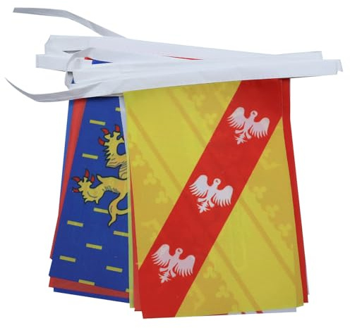 AZ FLAG Wimpelkette 22 Regionen von Frankreich 7 m 22 Flaggen | Für innen und außen Französische Flaggenkette 22 régions France métropolitaine Flaggen auf verstärktem Band vernäht