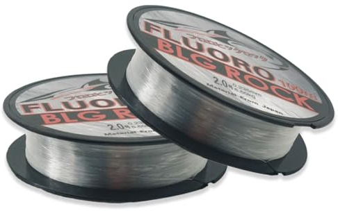 ROKZELT 2 Pièces 0.8mm/100m Fil de Pêche Monofilament en Nylon Transparent,Fil de Peche Monofil,Ligne de Pêche en Nylon Solide,pour Truite,Carpe,Poisson,Sandre Ou des Décorations Suspendues