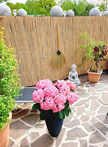 Schilfrohrmatte 90x600 cm - Natur Wind und Sichtschutzmatte aus Schilfrohr für Haus, Garten und Balkon