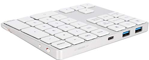 RASTKY Numero Tastiera Wireless Abilitata per Numerico Pad -Numerico - Dispositivi di Input/tastie Numeriche (SILVER)