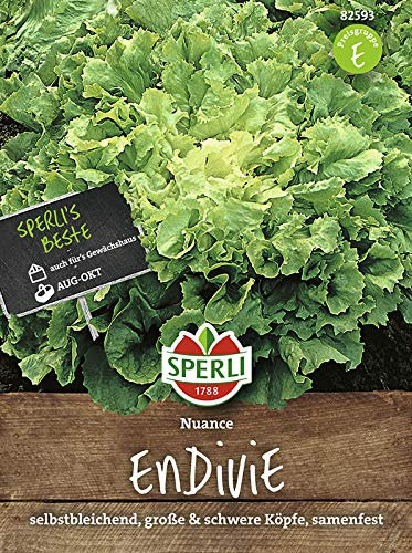 Sperli 82593 Endivie Nuance (Endiviensamen)