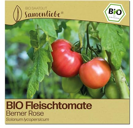 Samenliebe BIO Tomaten Samen | Fleischtomate Berner Rose - rosa & sehr aromatisch - samenfestes BIO Saatgut