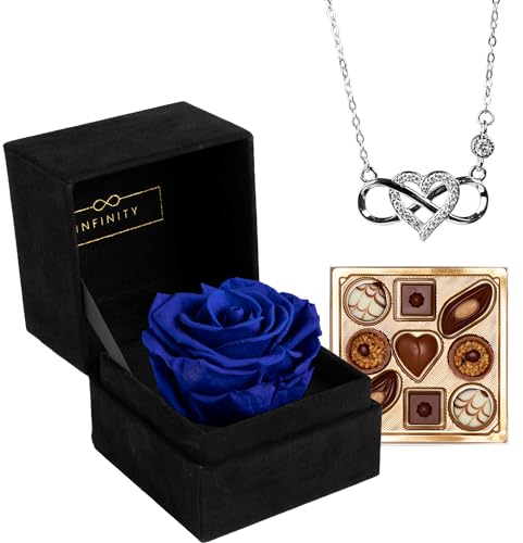 Infinity - Geschenk Set mit 1 Ewigen Rose und 925er Infinity Kette in Silber - (3 Jahre haltbare Rose mit 925er Silber Kette) - Als Geschenk verpackt