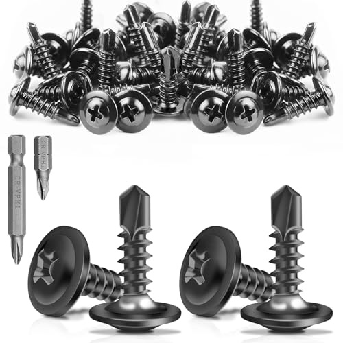 200 x Viss Inoxs Rainure Croisée Noire Vis Autoforeuse Metal+2 Embouts (24/49MM) Vis Autoforeuse Inox Visserie Inox,Vis Autoperceuse Pour Metals Pour Le Métal Et Le Bois(M4.2x16.8 MM)
