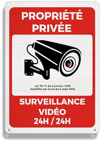 FloraVigo Panneau de Caméra de Propriété Privée, 25×18 cm, Alarme de Sécurité, Intérieur/Extérieur, en Aluminium (Vidéo Surveillance)
